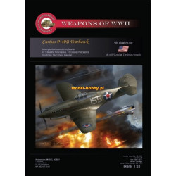 КИТ Curtiss P-40B Warhawk + каркас + фонарь + колеса